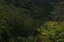 maquete-cima.jpg
